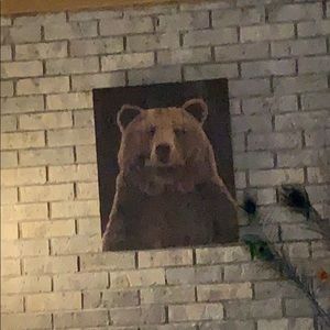 Meet your Posher, Josh